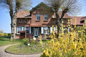 Hotel/Pension Bradhering in Ahrenshoop